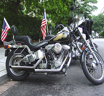 Showing their support with their American Flags.