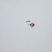Just missed the jets....but look what else dropped out of the sky
