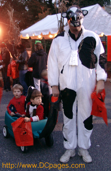 A fatherly cow pulls his boys dressed up as Spiderman and a pirate.