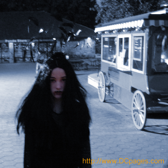 We asked Wednesday if there were creatures of the night around. She looked at us and responded, "Does it matter?"

