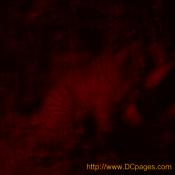 As we were wwwalking aaa bbbbig orange thing was mmmovving near us. I am pretty sure it was a tiger.