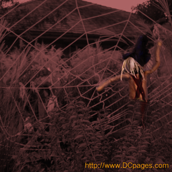 This poor fellow got stuck in a giant spider web.