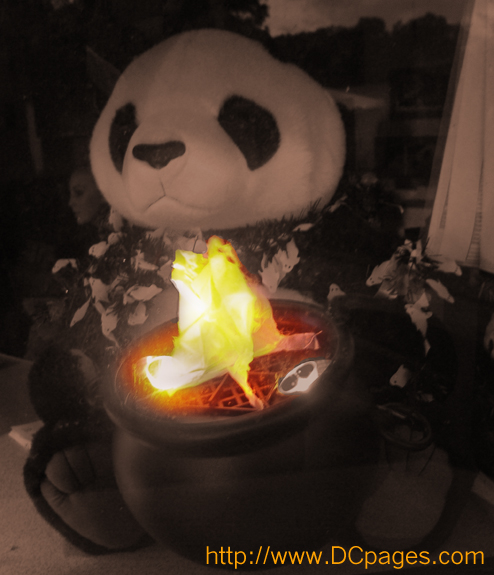 This panda shared some warmth with everyone.