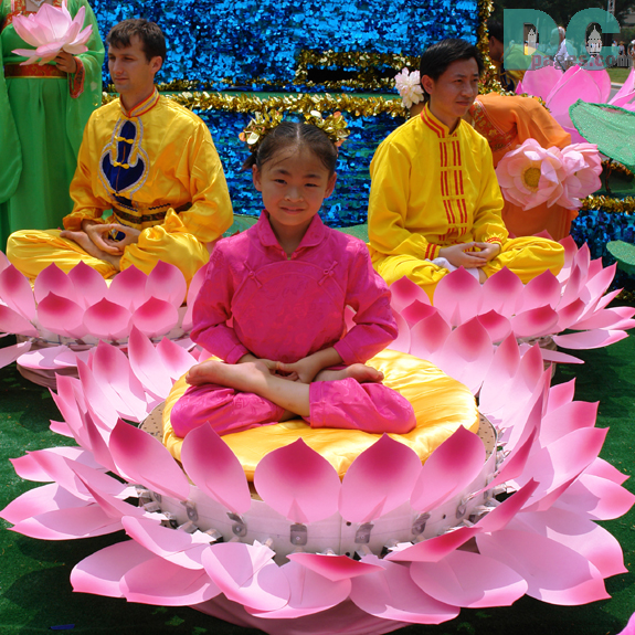 Meditation on a pink flower.