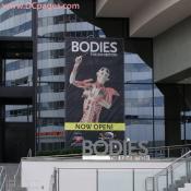 Located in the Rosslyn Dome, BODIESThe Exhibition features 20 body specimens, 260 organs and partial body specimens, which provide a closer look at the skeletal, muscular, circulatory and respiratory systems.