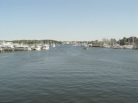 Dsc00084