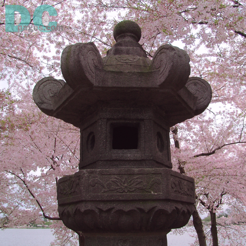 Wednesday, 10:00 am EST, April 13, 2005, Japanese Peace Lantern 
