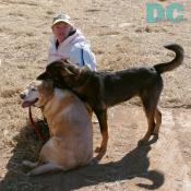 Jenny Rehbehn (Director of Calleva's Explorer Camp), giving some attention to Denali and her four-legged friend.