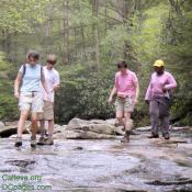 Leadership members walking through the creek