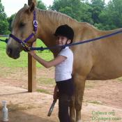 Grooming and caring for your horse ranks right up there with riding the horse.