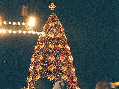 2002 National Christmas Tree