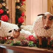 These three sheep were brought to the White House by President Woodrow Wilson during W.W.I. to keep the lawn of the White House neat and trim