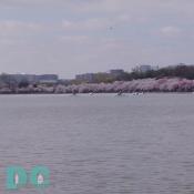 The tidal basin covers an area of about 107 acres and is 10 feet deep.