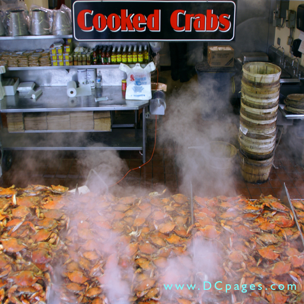 You can't help taking in the smell of fresh steamed crabs.  