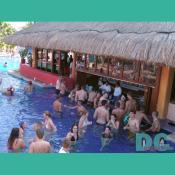 oasis hotel pool bar