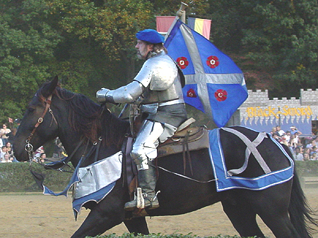A Knight in Full Plate Mail 
