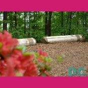 An old States Capitol building pillar resting on the top of Mount Hamilton.
