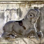 Aries Sign and Symbol