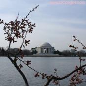 Wednesday, March 25, 2009  9:42 AM