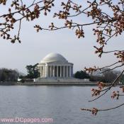 Wednesday, March 25, 2009  9:40 AM