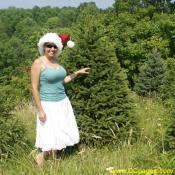 Nicole likes Douglas fir trees. This tree already belongs to family.