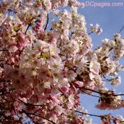 Tuesday,  March 31,  2009  5:40 PM