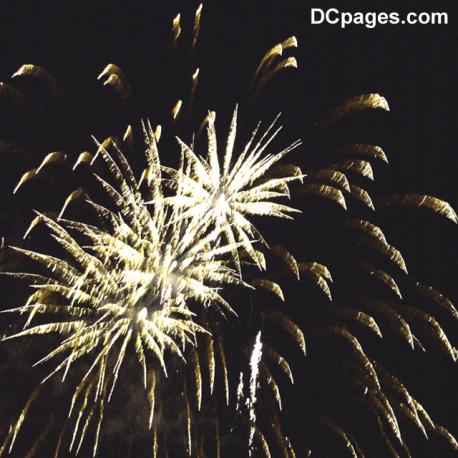 2009 Fourth of July Fireworks - Montgomery College, Rockville, Maryland