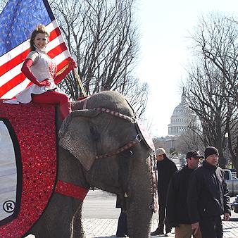 Ringling Bros. & Barnum & Bailey visit Washington, DC.