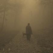 Our investigative team brought a psychic dog, Denali, to help sense the unseen. As we were walking down Dark Hollow Falls trail, Denali began to whimper at a dark presence just ahead. At this moment, some of the team members decided to turn back.