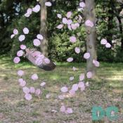 Monday, 9:20 am EST, April 11, 2005, Cherry Blossom petals and feather moving in the wind. Sunny with a crisp breeze. Third Stage of Flower Bloom