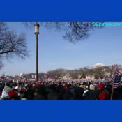 American Flags at the inauguration, January 20, 2009