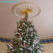 Top view of the official White House Christmas tree located in the Blue Room. 