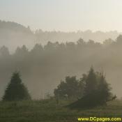 Morning mist bathe the farm.