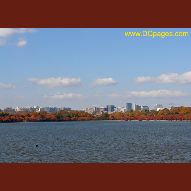 View of Rosslyn from Tidal Basin in Washington DC.