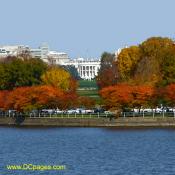 Autumn view of White House from tidal basin.