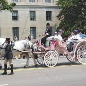 War vets in a horse and buggy
