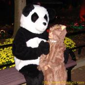 A friendly panda and a costumed child get ready to have fun at the zoo.